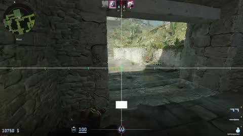 Flying Headshot witzh Duals